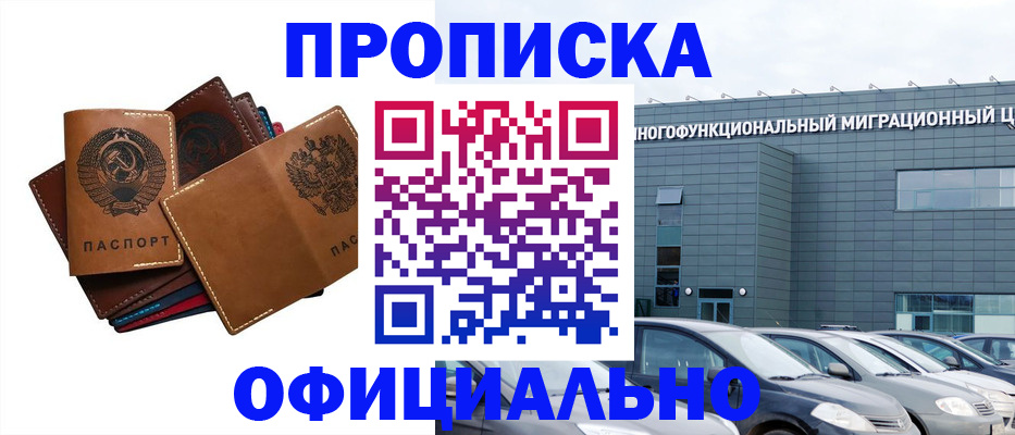 прописка в квартире в Курской области